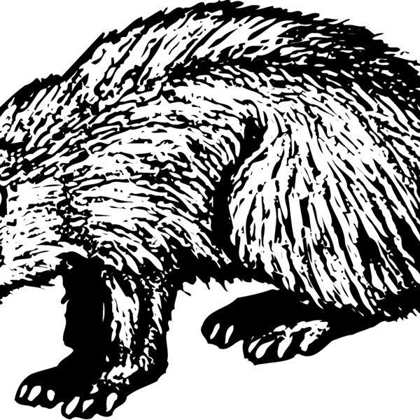 BADGER01 Thumbnail