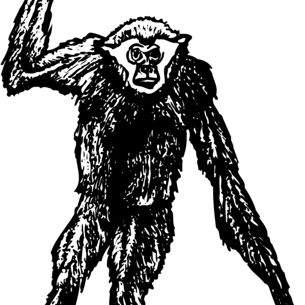 MONK003 Thumbnail
