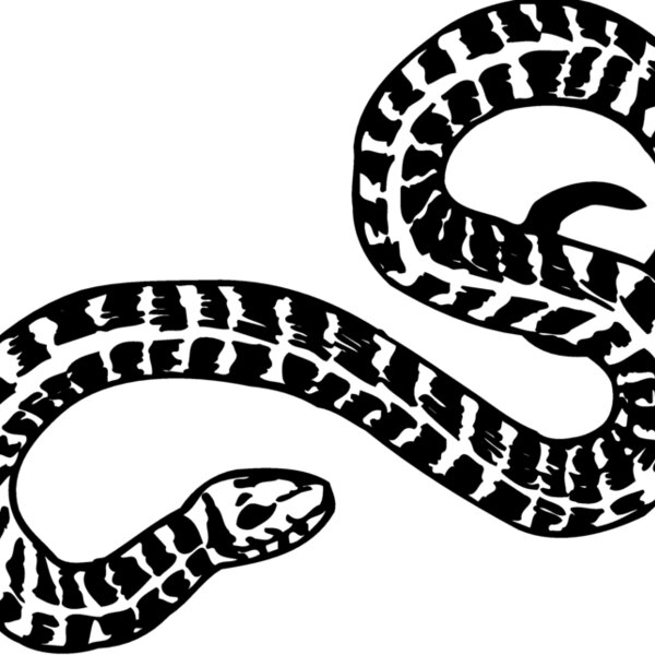 SNAKE009 Thumbnail