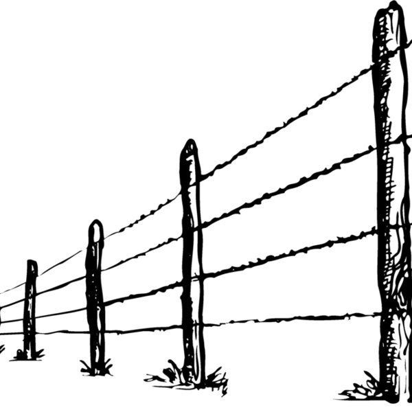 F0012 Thumbnail