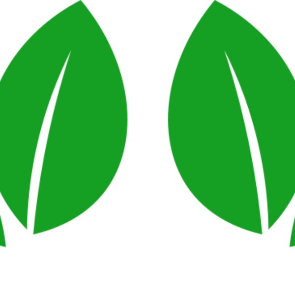 11 Leaves Thumbnail