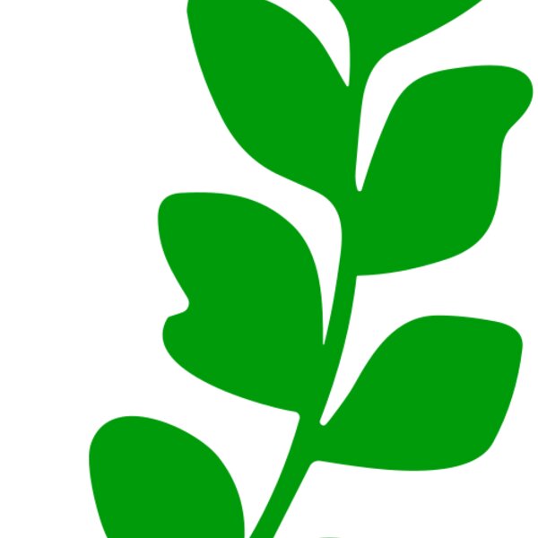 Leaves Thumbnail