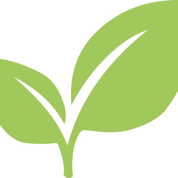 Leaves 6 Thumbnail