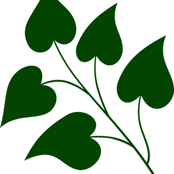 Leaves 3 Thumbnail