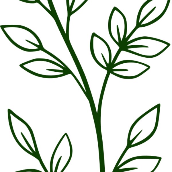 Leaves 2 Thumbnail