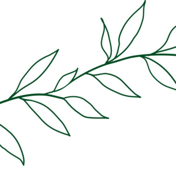 Leaves 2 Thumbnail