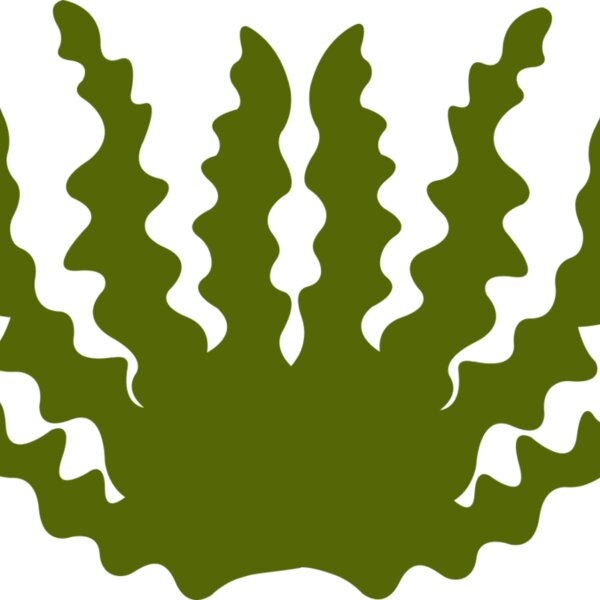 Sea Plant 2 Thumbnail