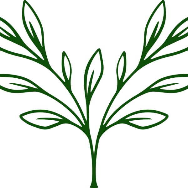 Plants 3 Thumbnail